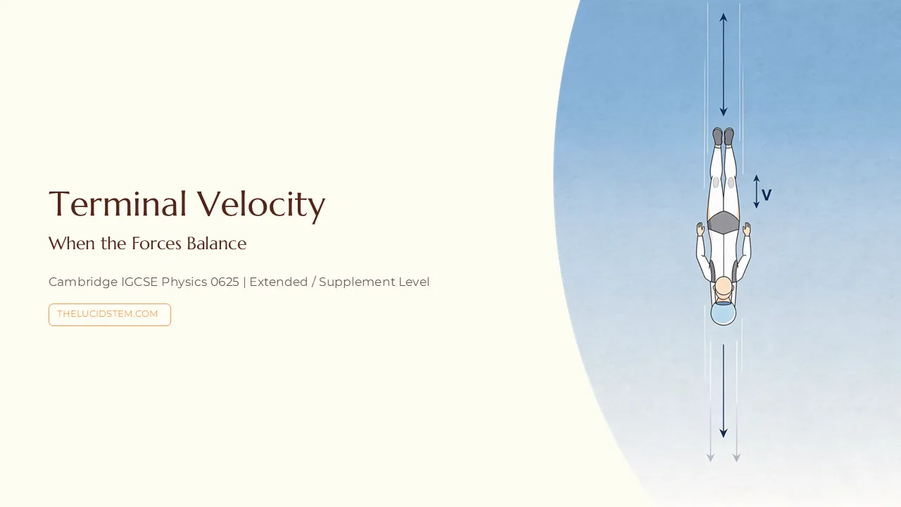 Slide 1 of 16: Terminal velocity slides